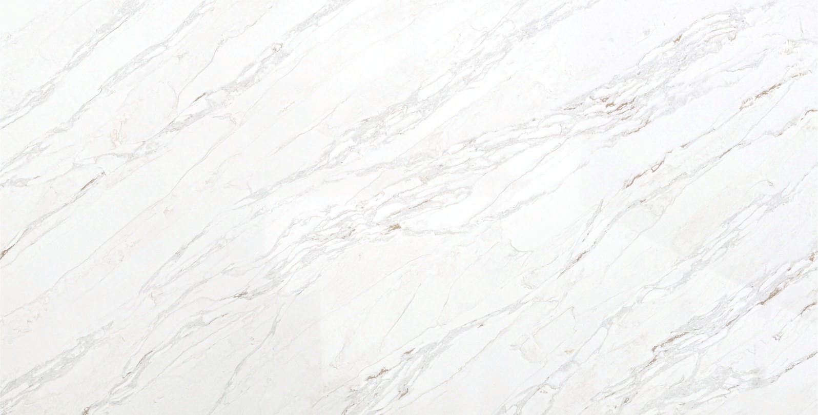 Calacatta Viola slab sample